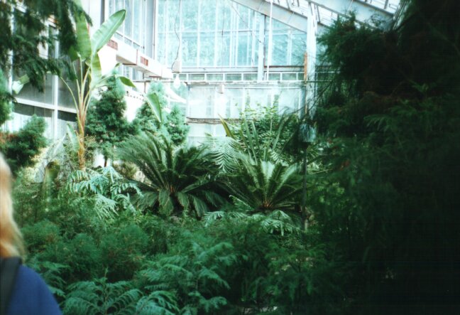 Botanischer Garten